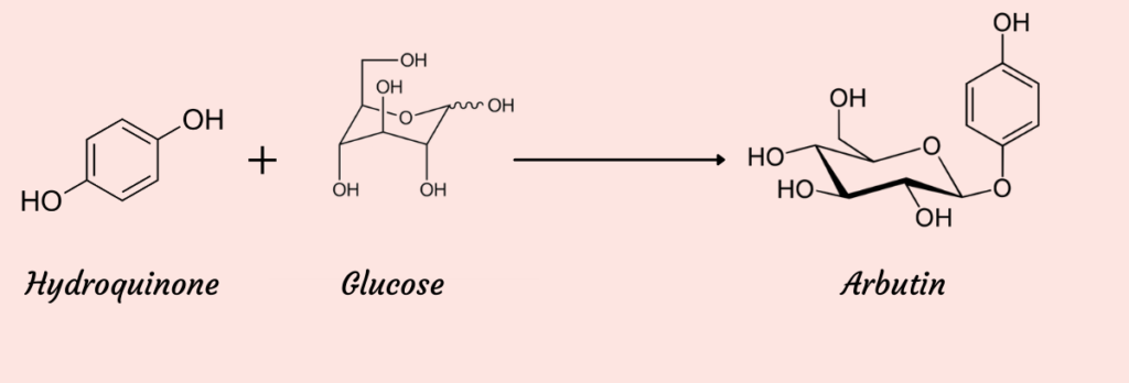 arbutin-in-cosmetics-synthesis