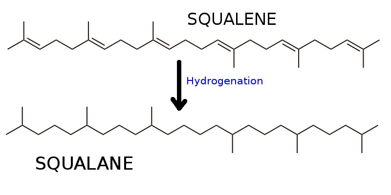 squalane-on-the-skin