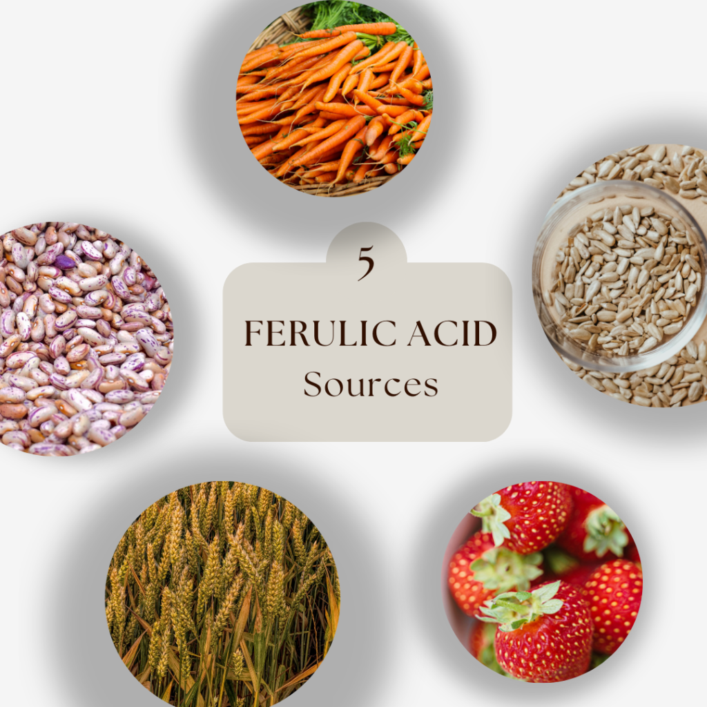 ferulic-acid-in-skincare-sources