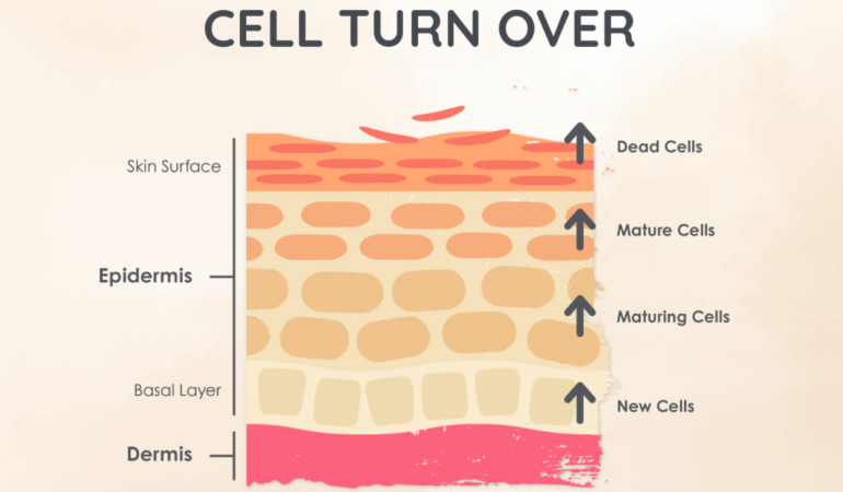 skincare-product-results-skin-renewal