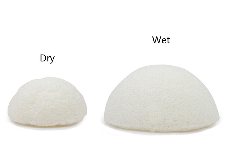 konjac-sponges-dry-wet