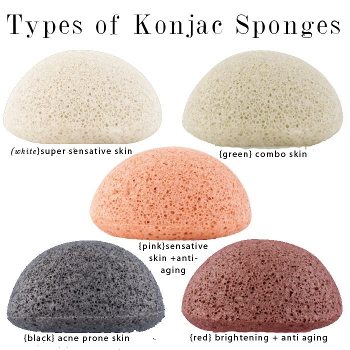 konjac-sponges-types