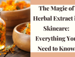 herbal-extracts-in-skincare