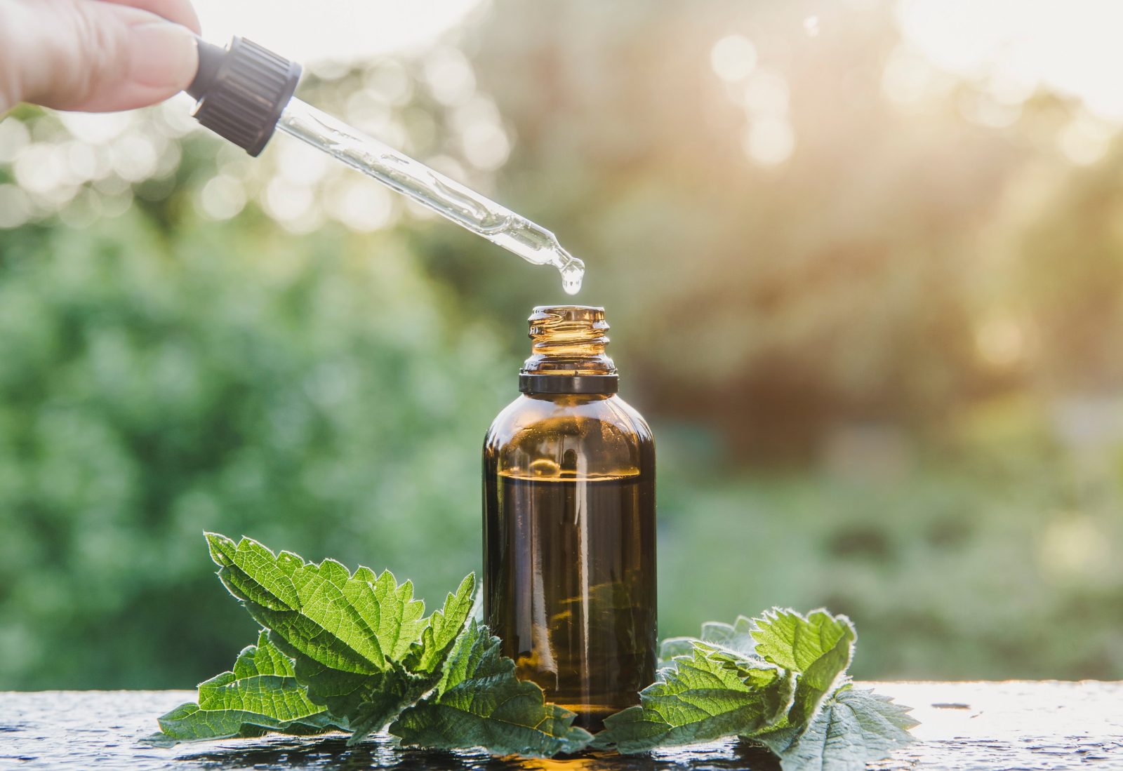 herbal-extracts-in-skincare