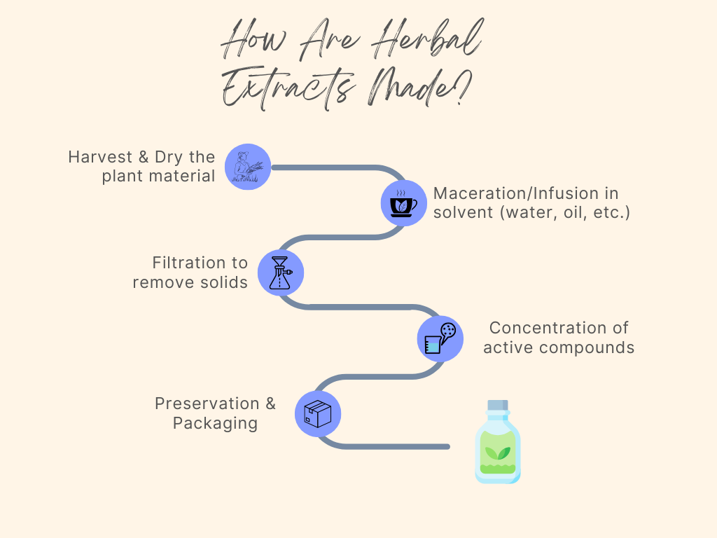 herbal-extracts-in-skincare