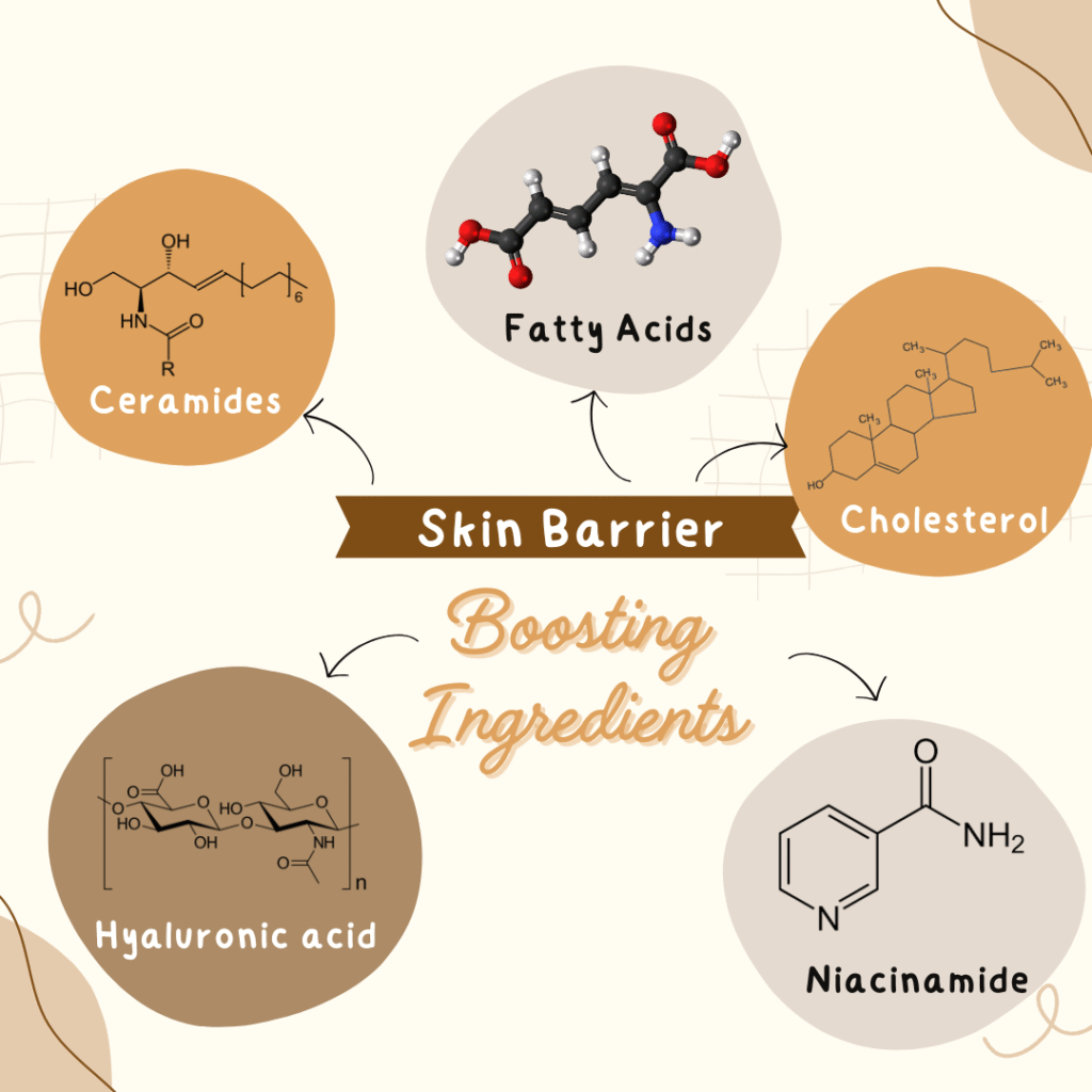 skin-barrier