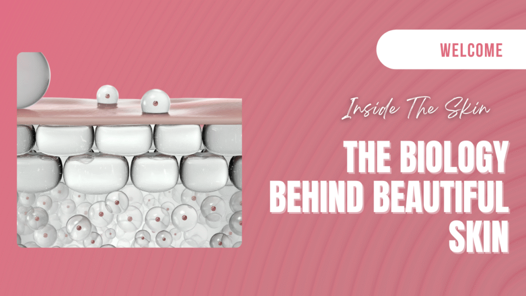 inside-the-skin-intro