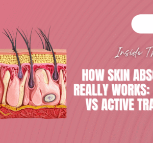 skin-absoption-hero