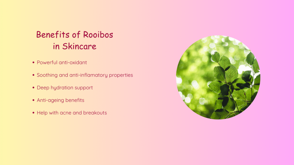 rooibos-in-skincare