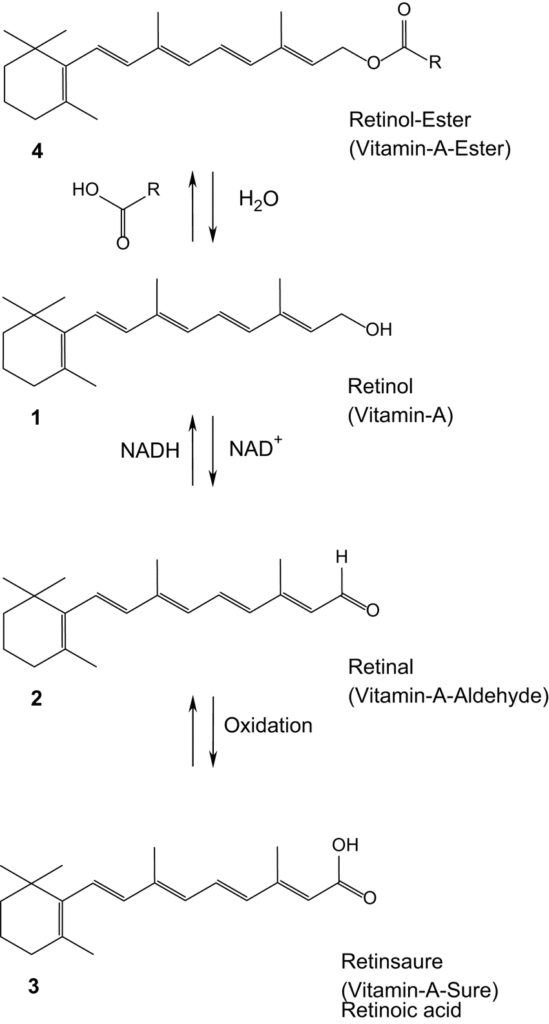 skincare-ingredients
