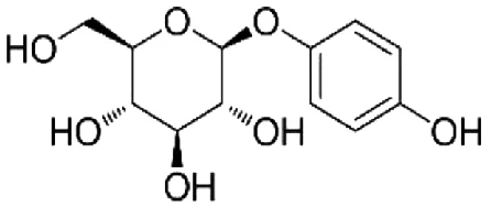 hey-bud-kojic-acid